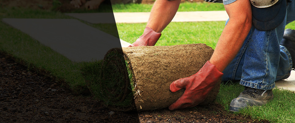 New London Landscapers